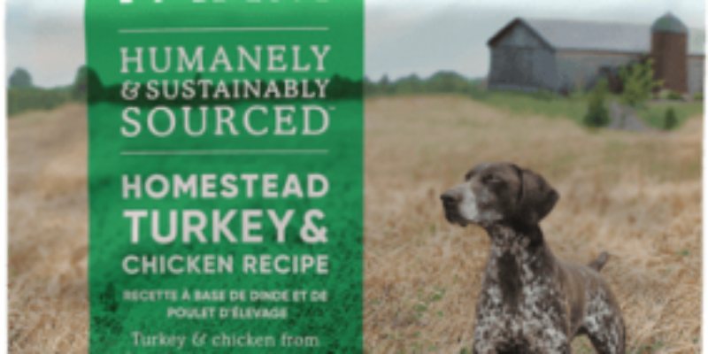 14 Open Farm Dog Food Review